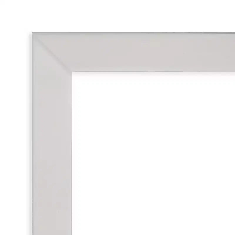 Specchio da Parete in Legno Svelte Argento Non Bisellato 30" x 24"